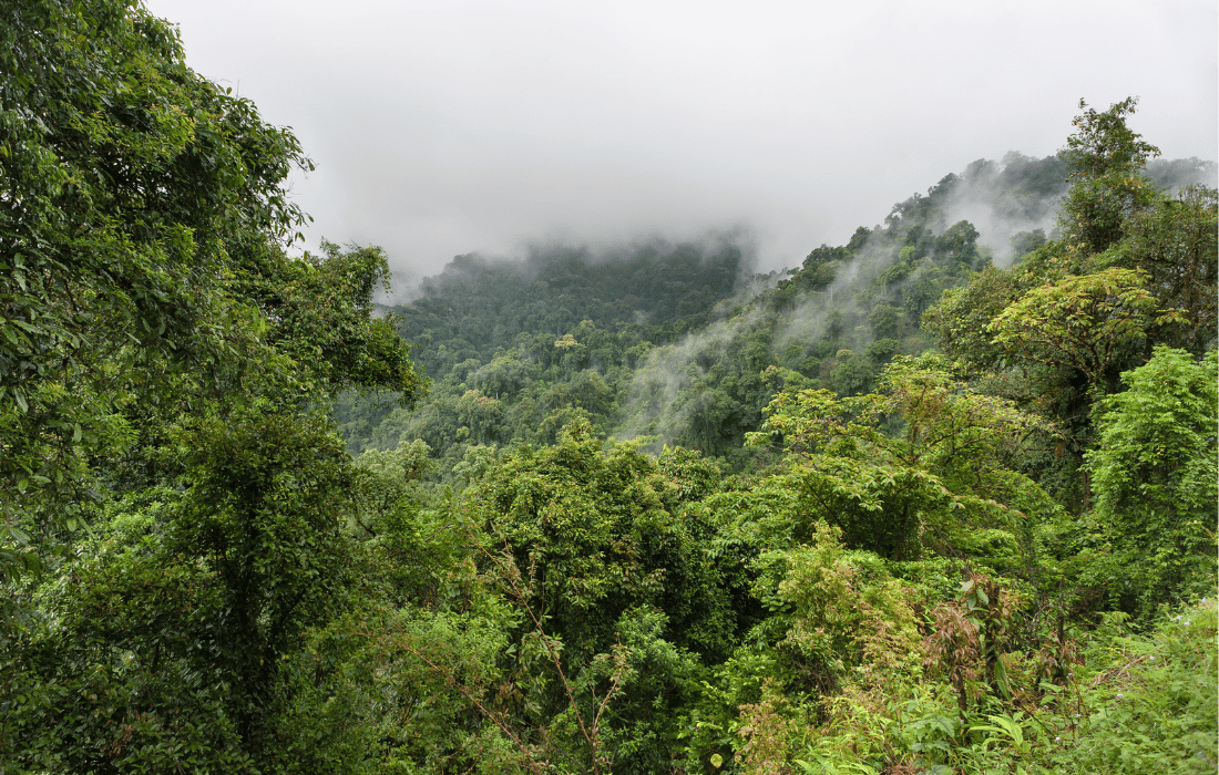 Dirang